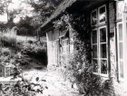 Alte Schule Godau - Garten 1950er